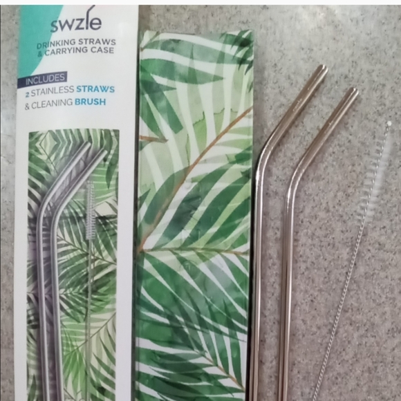 SWZLE Reusable Drinking Straws & Carrying Case - Picture 1 of 5
